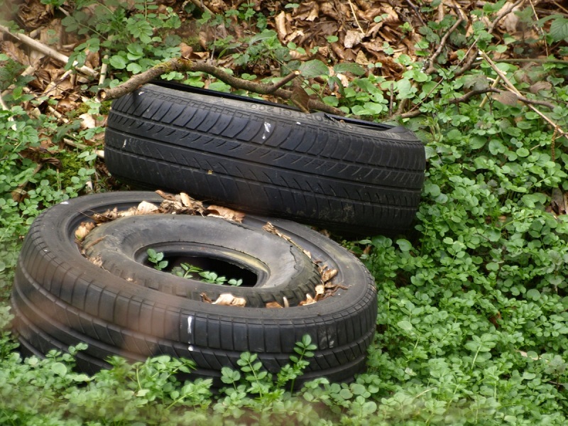 pneu v prírode